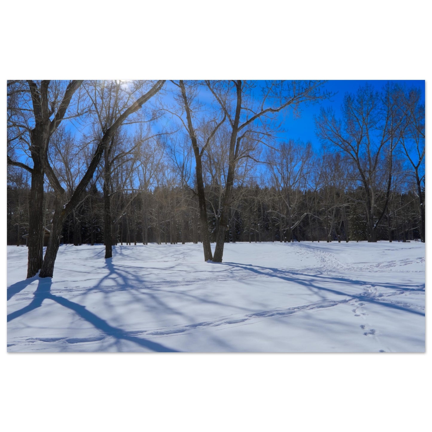 009766d8-ddba-4308-abfc-f5b232e99c70