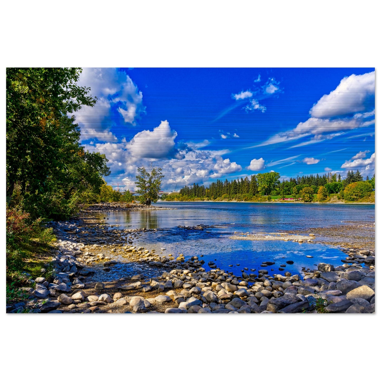 028406c3-d501-4a13-865b-c1741882fc80