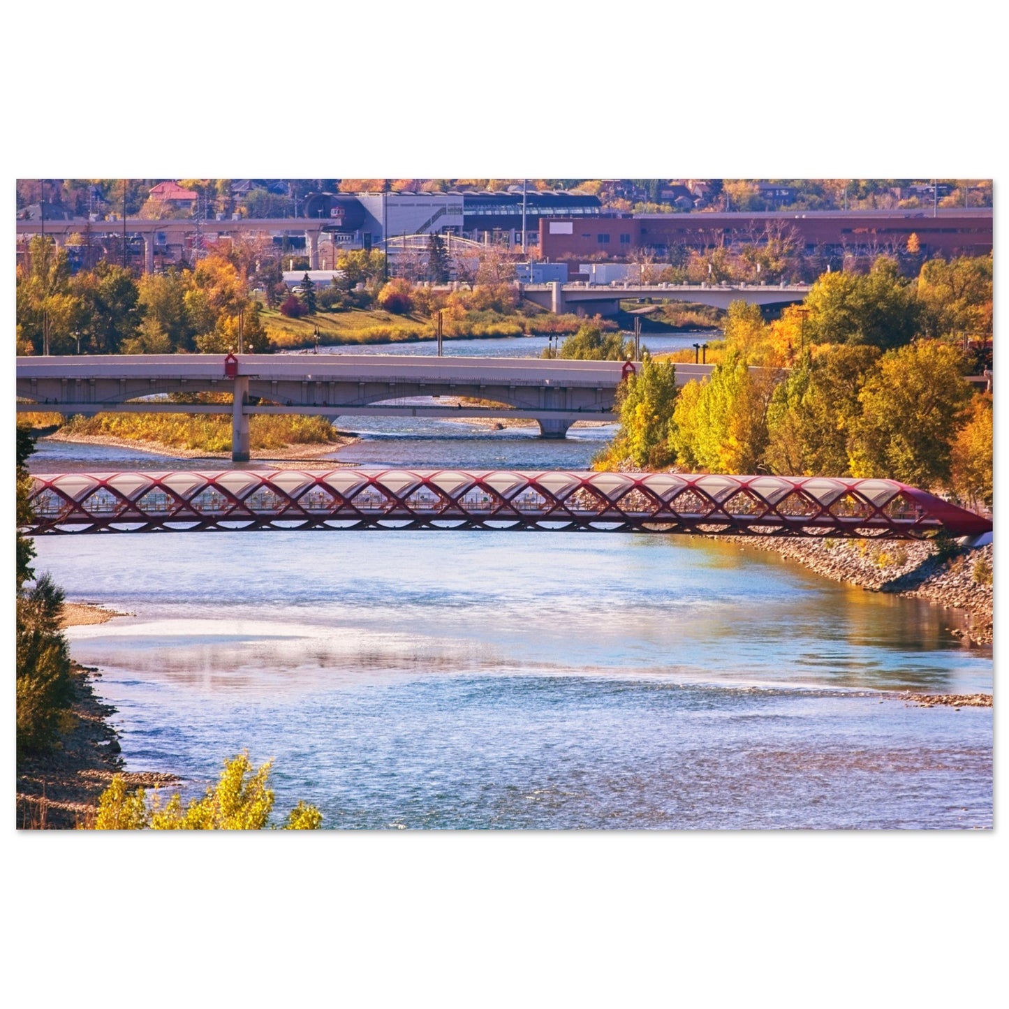 Premium Semi-Glossy Poster Print - Peace Bridge McHugh Bluff