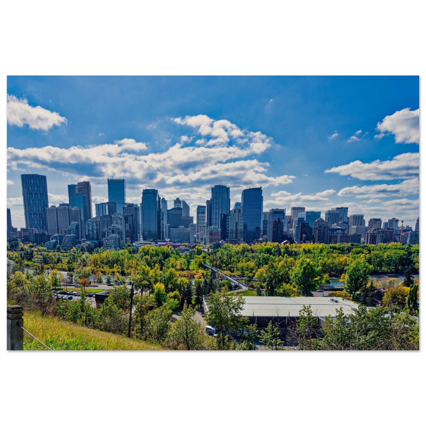 Premium Semi-Glossy Poster Print - Downtown Calgary McHugh Bluff Fall