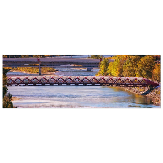 08e48fe6-a296-4be1-ae5e-5d957c85d5fa