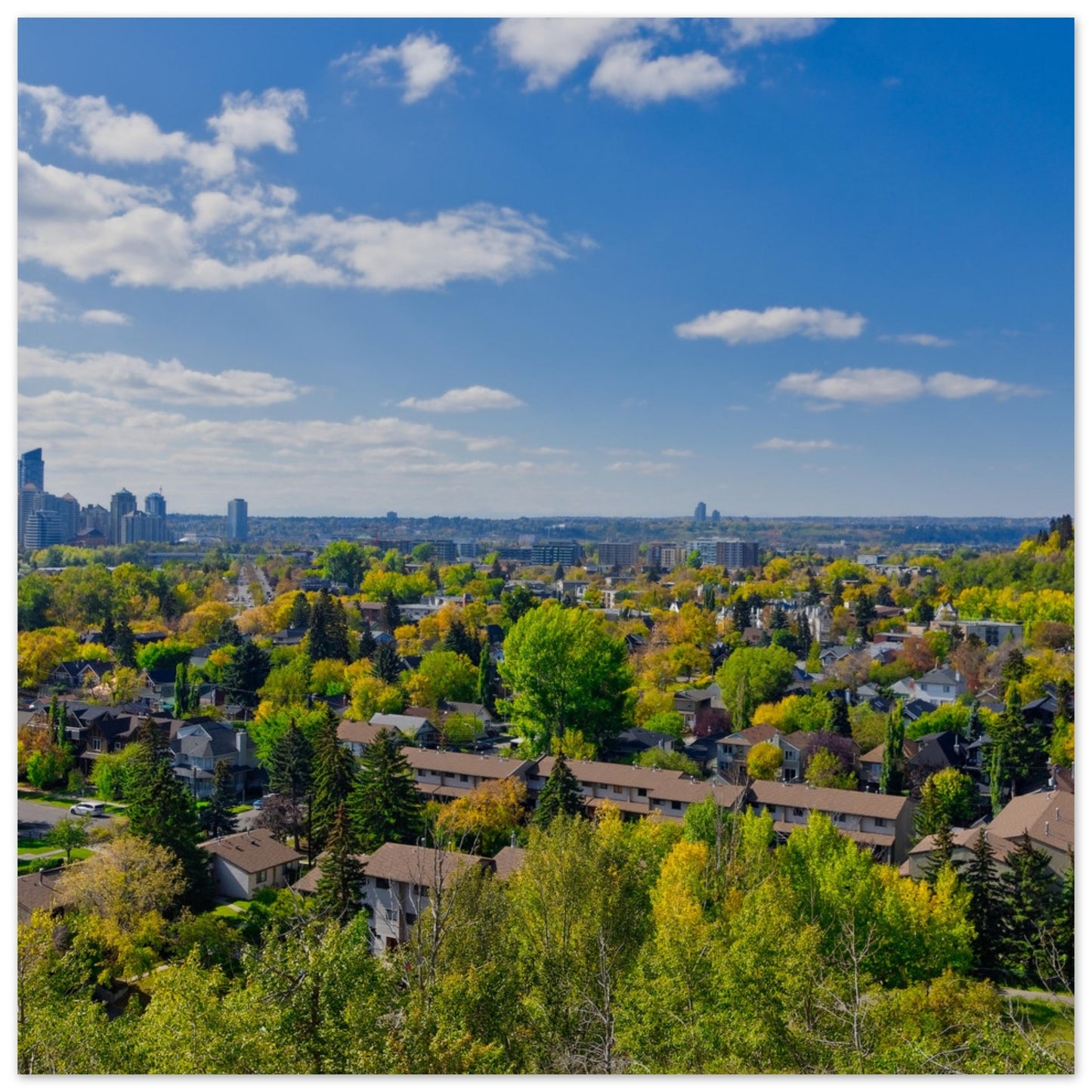 Premium Semi-Glossy Poster Print - McHugh Bluff Fall