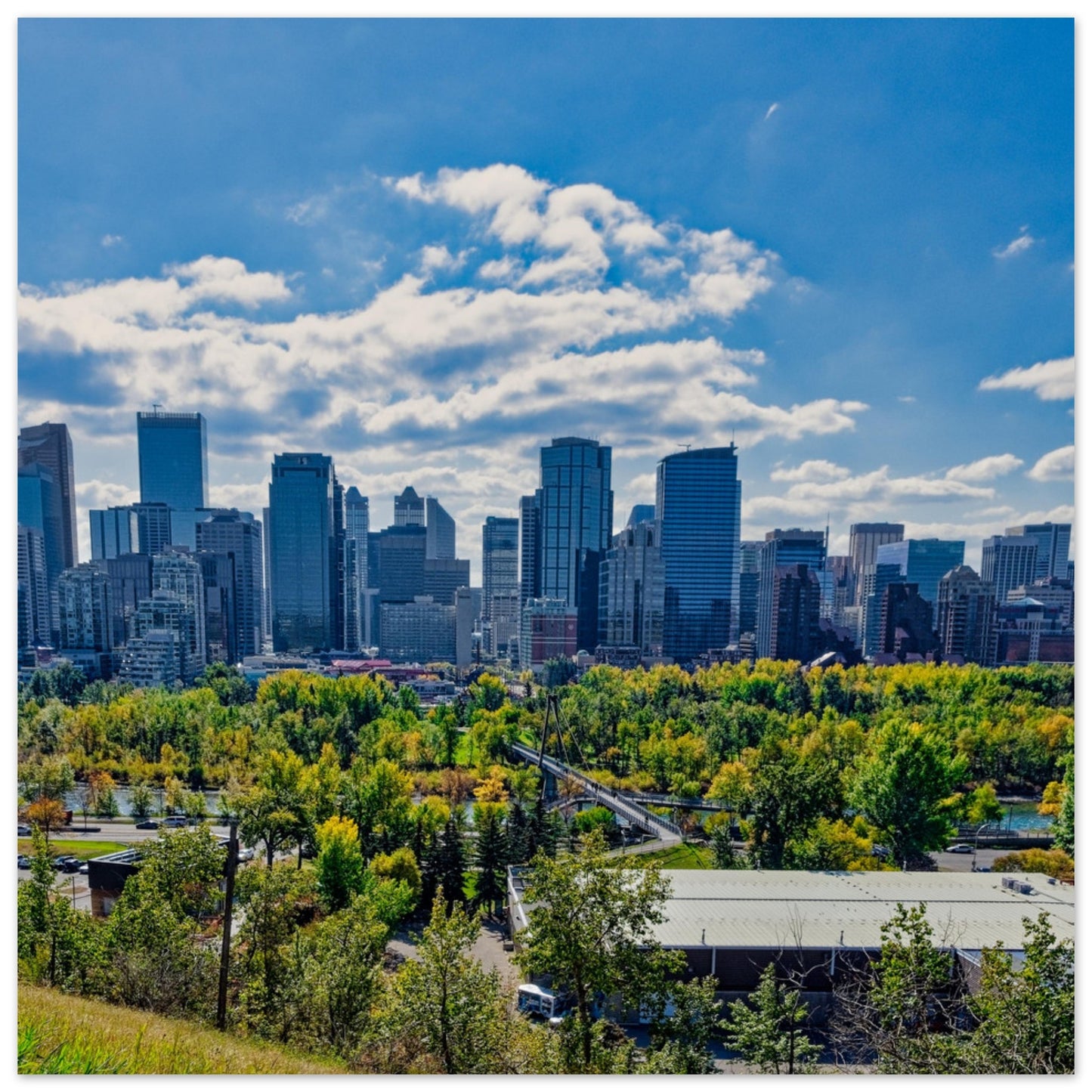 Premium Semi-Glossy Poster Print - Downtown Calgary McHugh Bluff Fall
