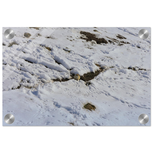 0cd2d65e-b00f-4b0a-8e57-61c06958feef