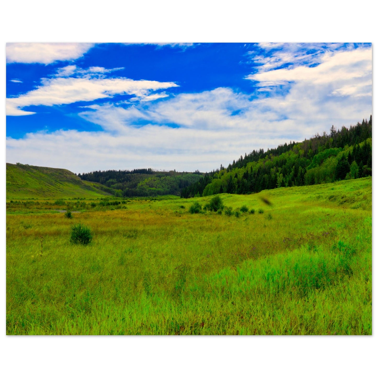 0ce28678-5e07-4dcf-bd88-c99843a22f74