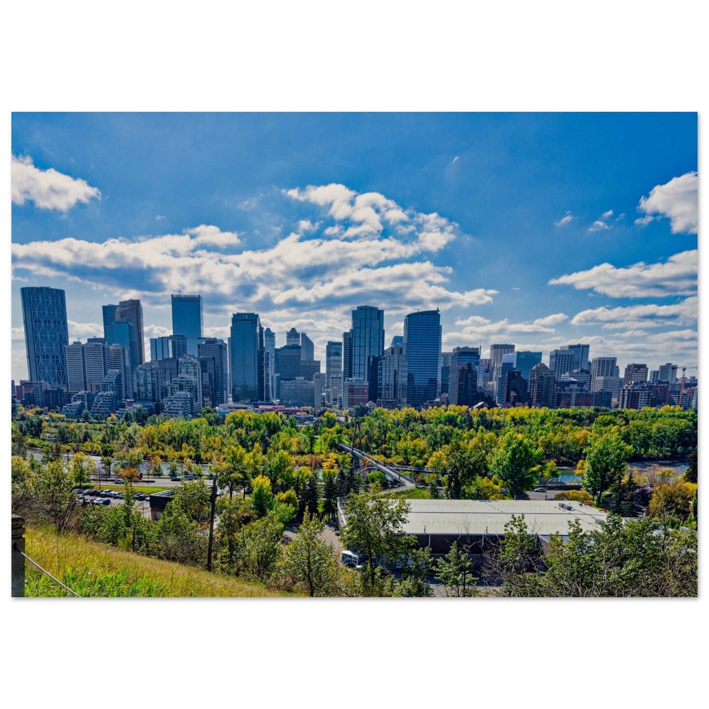 Premium Semi-Glossy Poster Print - Downtown Calgary McHugh Bluff Fall