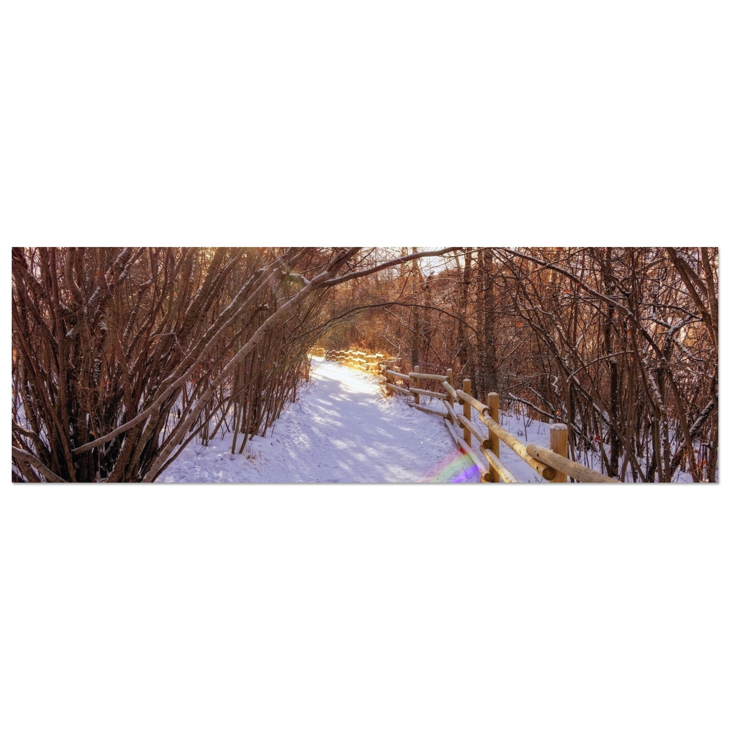 0e8f761f-4a1a-4b55-baa1-2026d2c24437