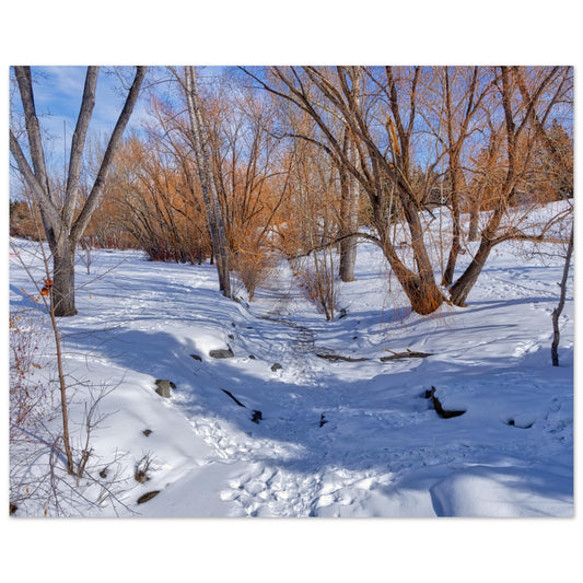 0f6fb302-7b9e-473e-a859-68dd117efb11