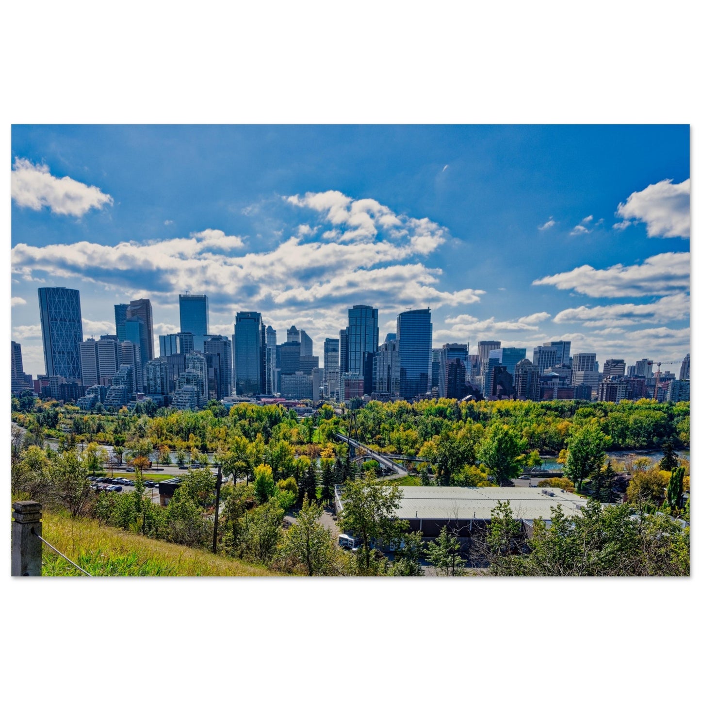 Foam Print - Downtown Calgary McHugh Bluff Fall