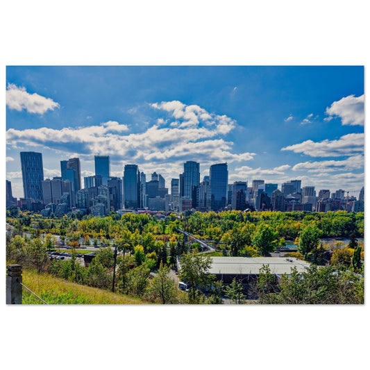 Foam Print - Downtown Calgary McHugh Bluff Fall
