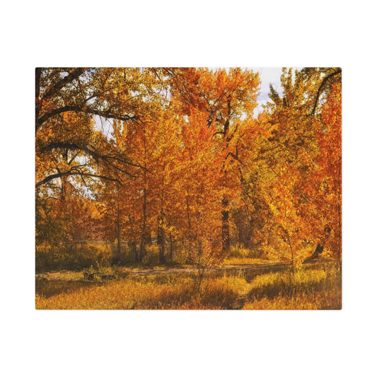 Jigsaw Puzzle (30, 110, 252, 500,1000-Piece) - Sue Higgins Park Fall Trees