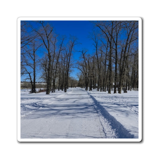 Magnets - Bowness Park Pathway Winter