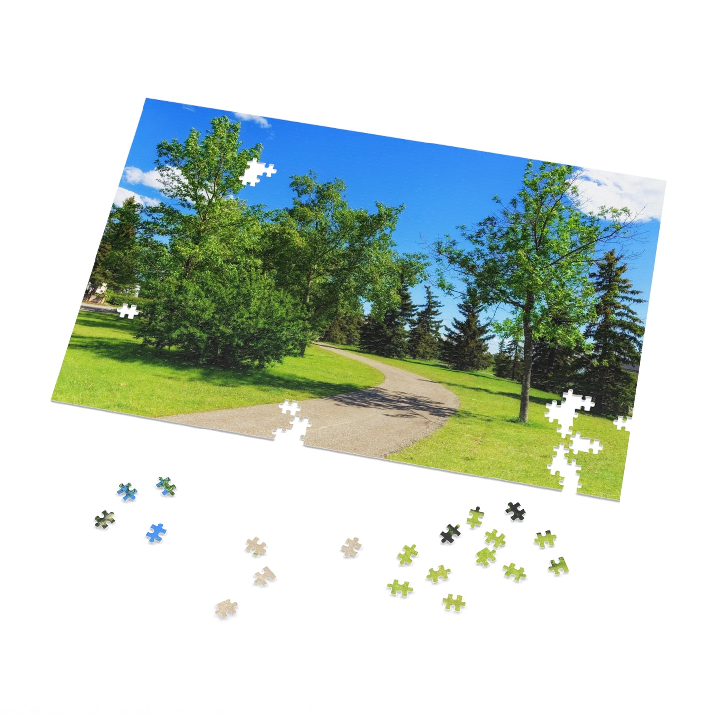 Jigsaw Puzzle (30, 110, 252, 500,1000-Piece) - Calgary in the Summer