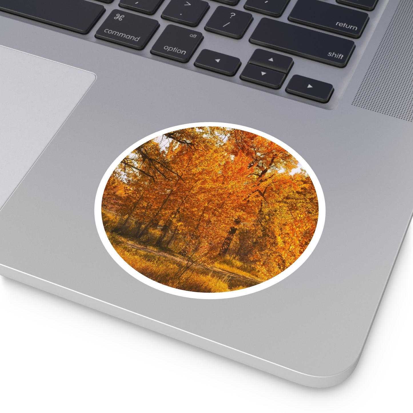Round Stickers - Sue Higgins Park Fall Colours