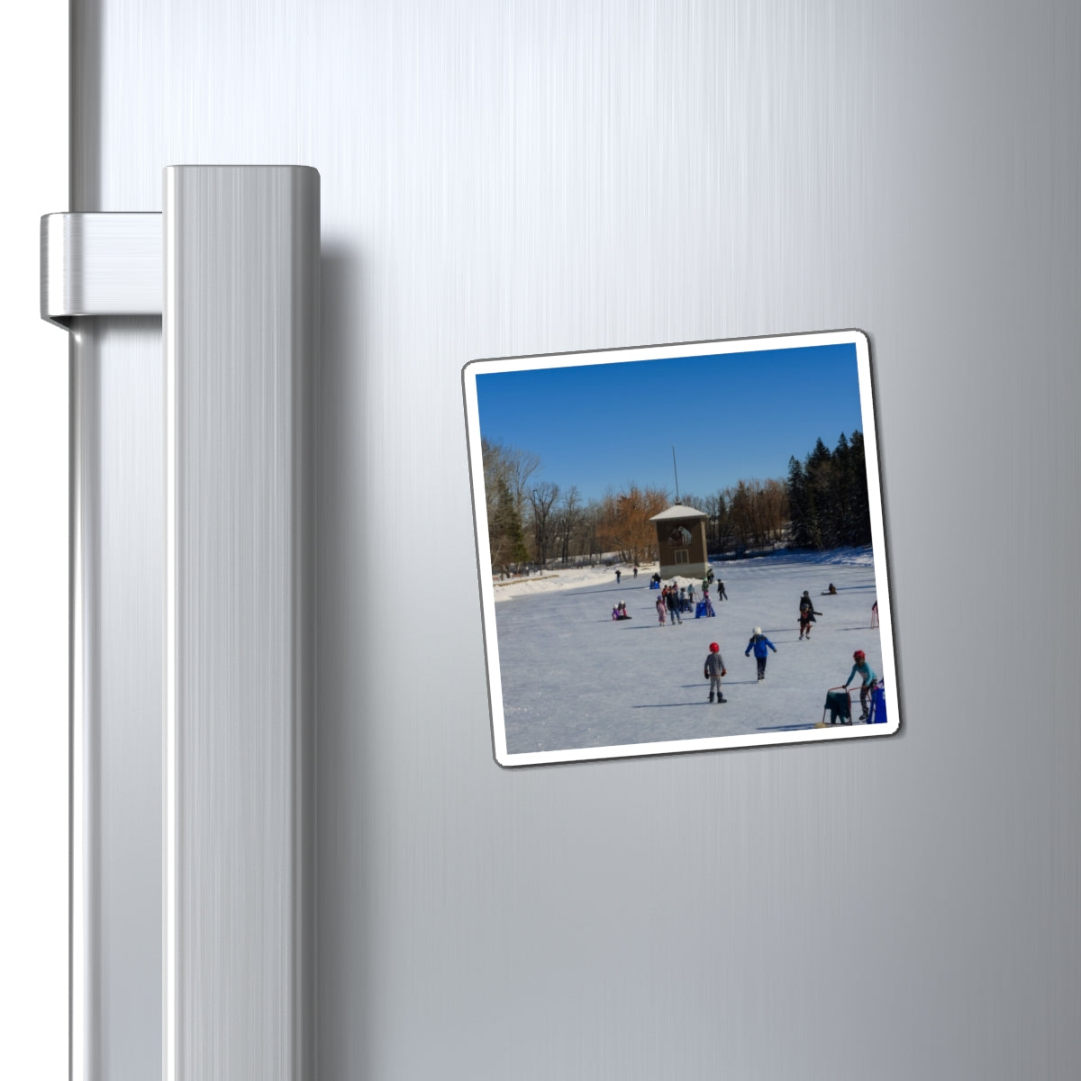 Magnets - Bowness Park Lagoon Winter