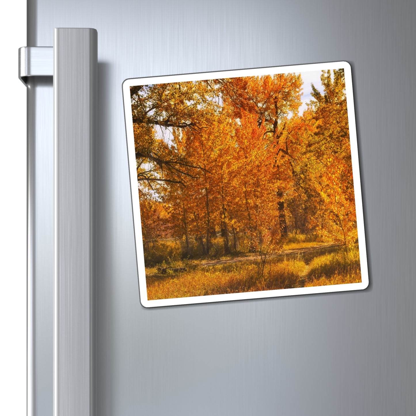 Magnets - Sue Higgins Park Fall Colours