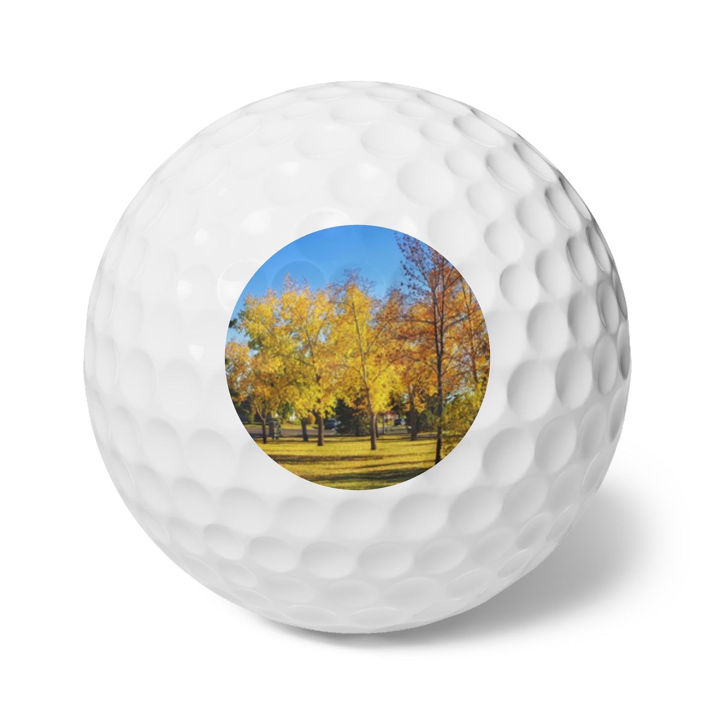 Golf Balls, 6pcs - Calgary in the Fall