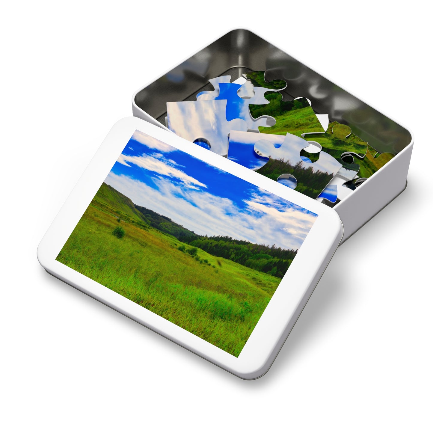 Jigsaw Puzzle - Big Hill Springs Park Entrance