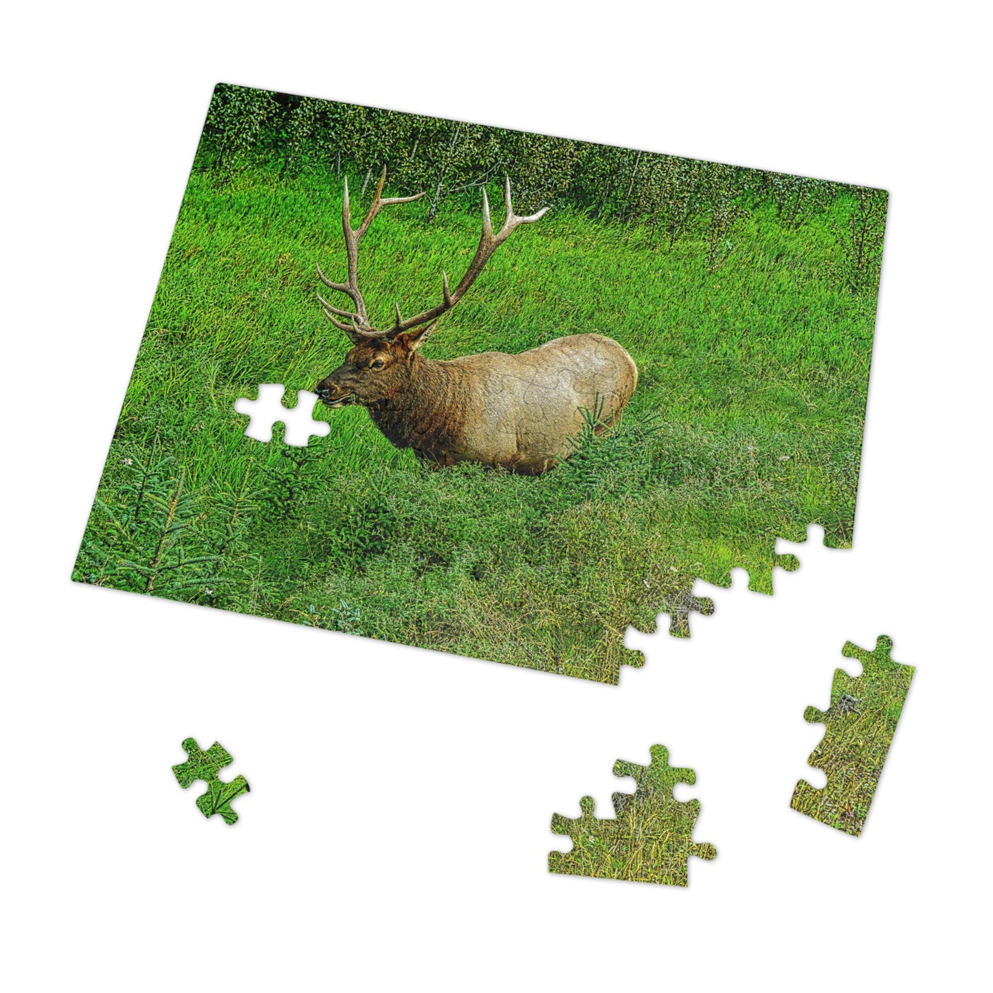 Jigsaw Puzzle (30, 110, 252, 500,1000-Piece) - Jasper National Park Elk