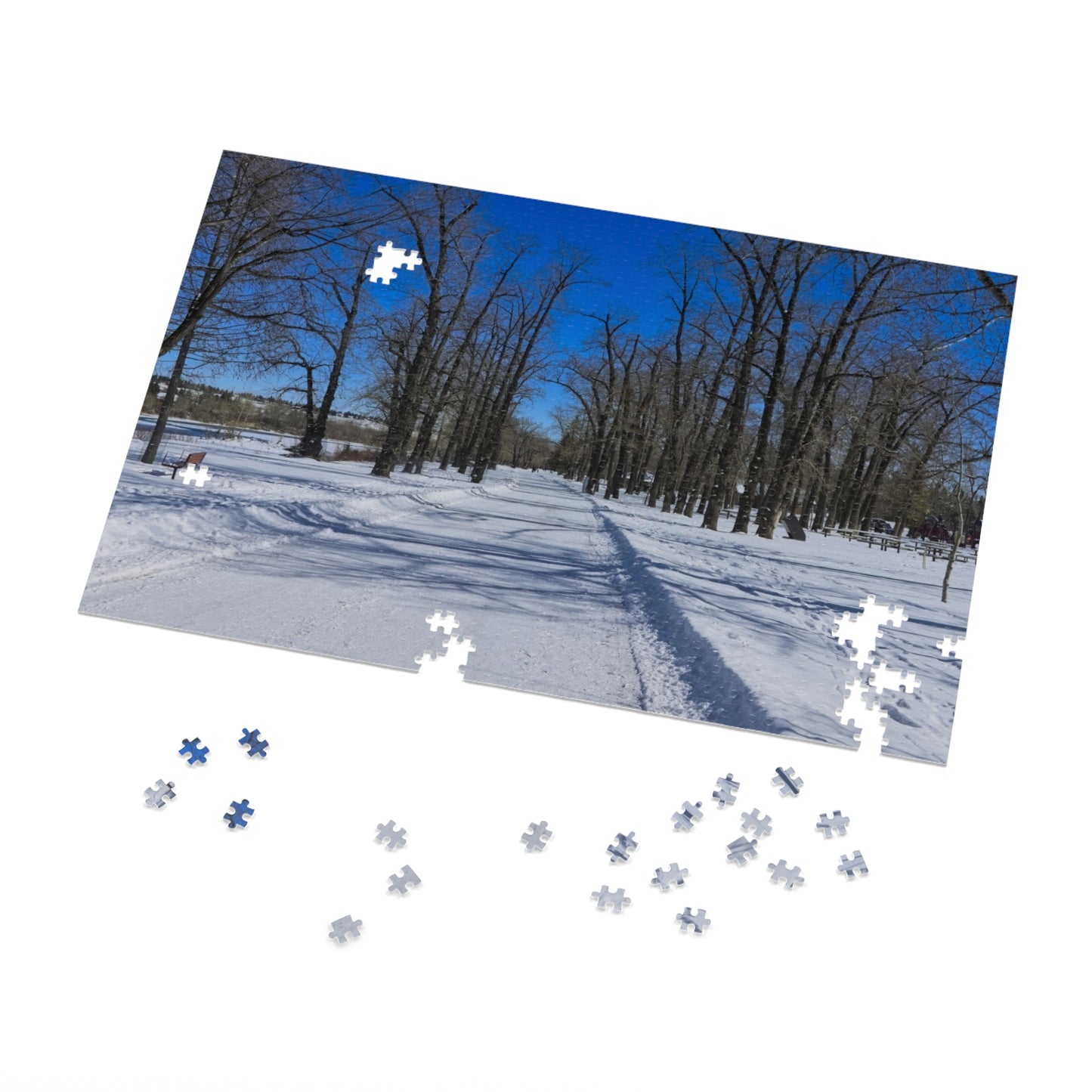 Jigsaw Puzzle (30, 110, 252, 500,1000-Piece) - Bowness Park Pathway Winter