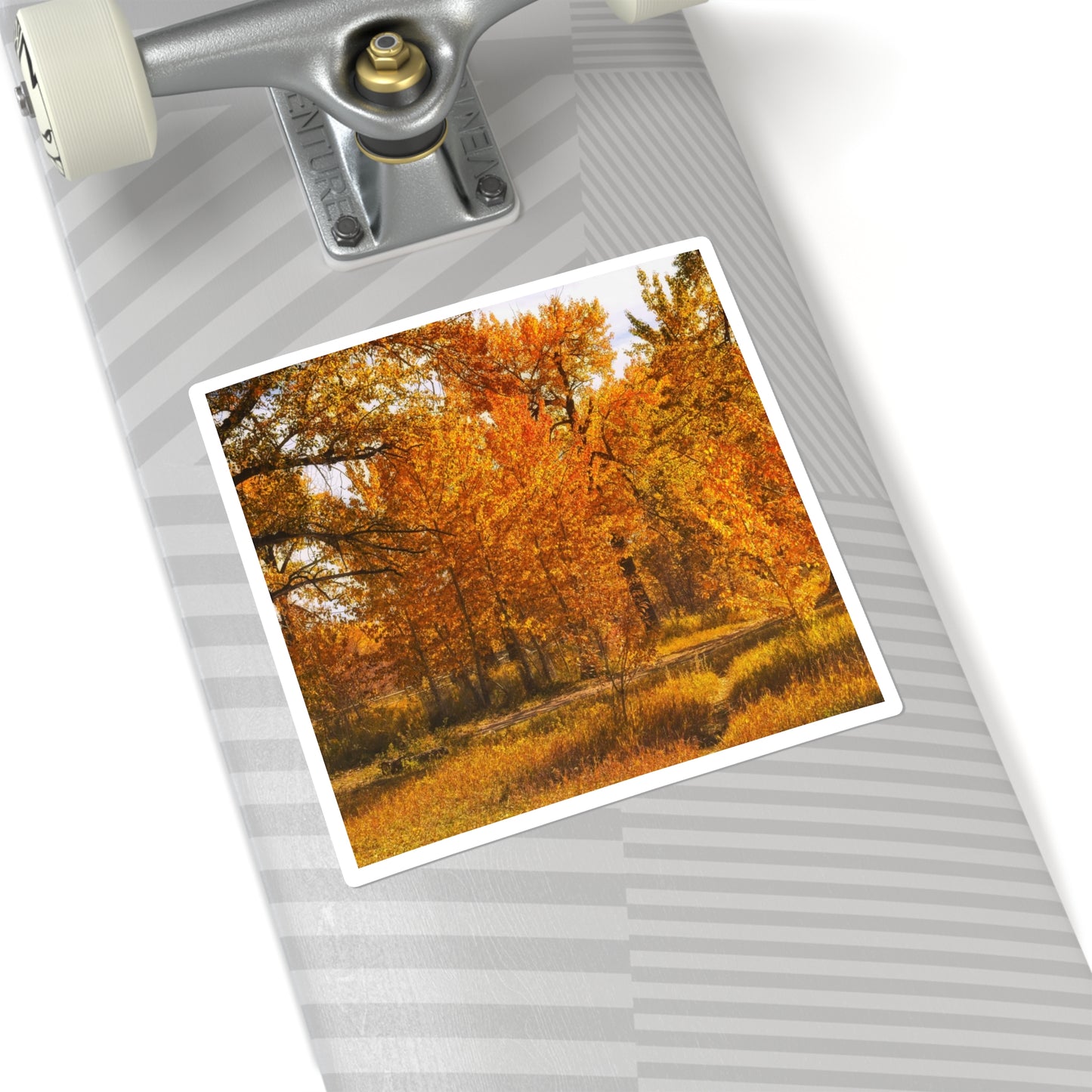 Square Stickers - Sue Higgins Park Fall Colours