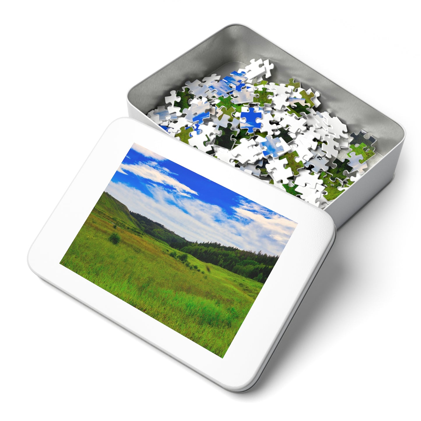 Jigsaw Puzzle - Big Hill Springs Park Entrance