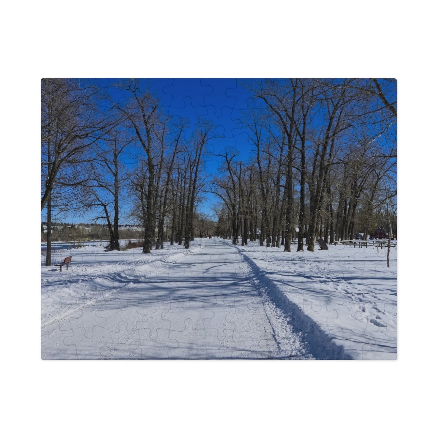Jigsaw Puzzle (30, 110, 252, 500,1000-Piece) - Bowness Park Pathway Winter