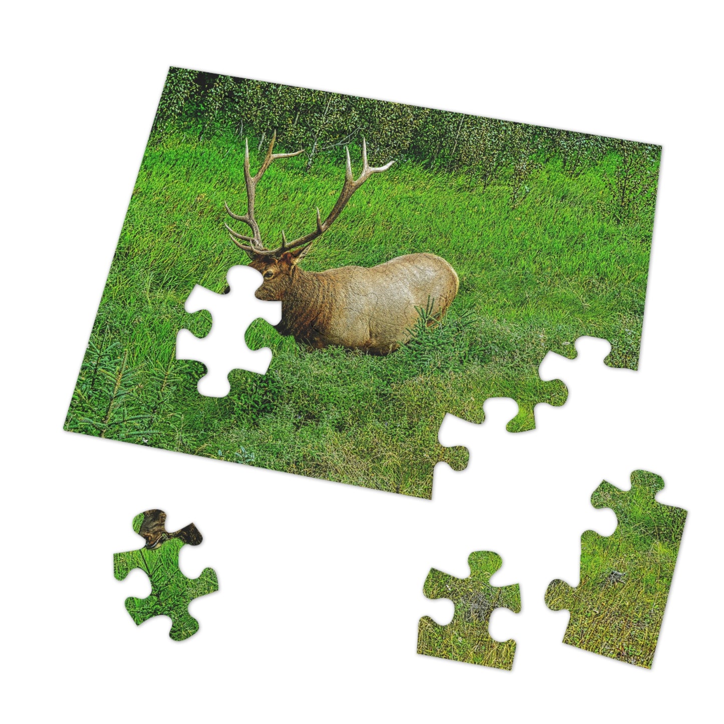 Jigsaw Puzzle (30, 110, 252, 500,1000-Piece) - Jasper National Park Elk