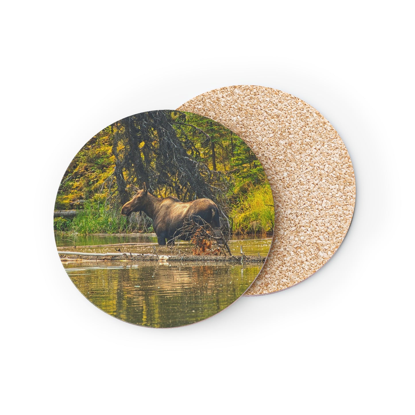 Coasters - Moose Lake Moose
