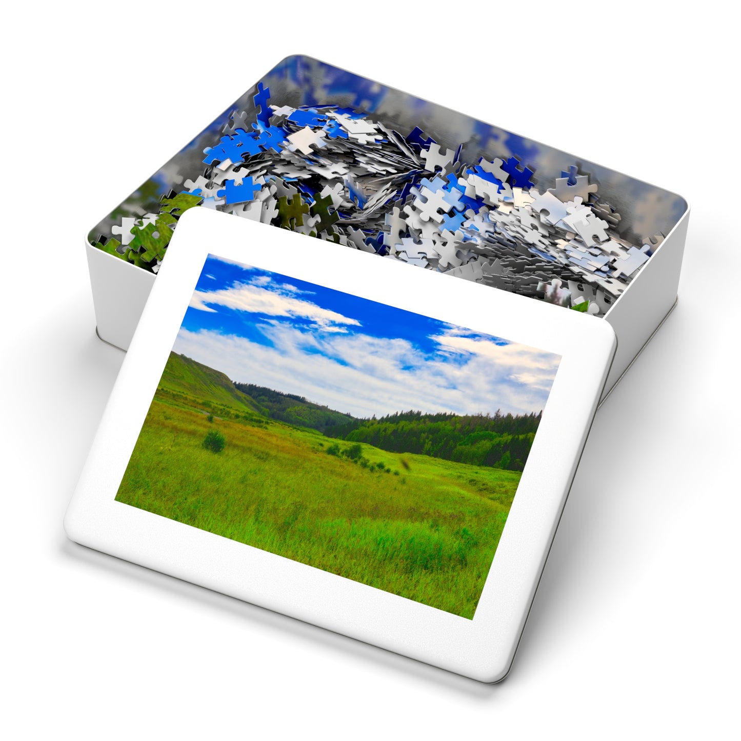 Jigsaw Puzzle - Big Hill Springs Park Entrance