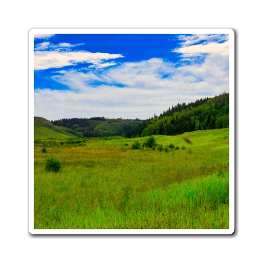 Magnets - Big Hill Springs Park Entrance