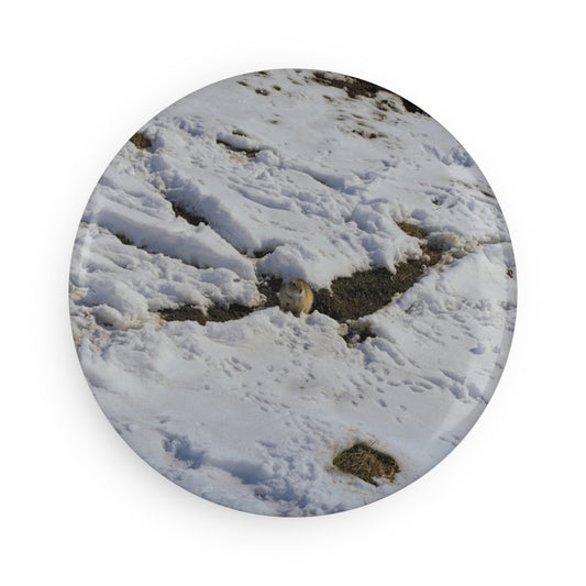 Button Magnet, Round (1 & 10 pcs) - Max Bell Centre Gopher Winter