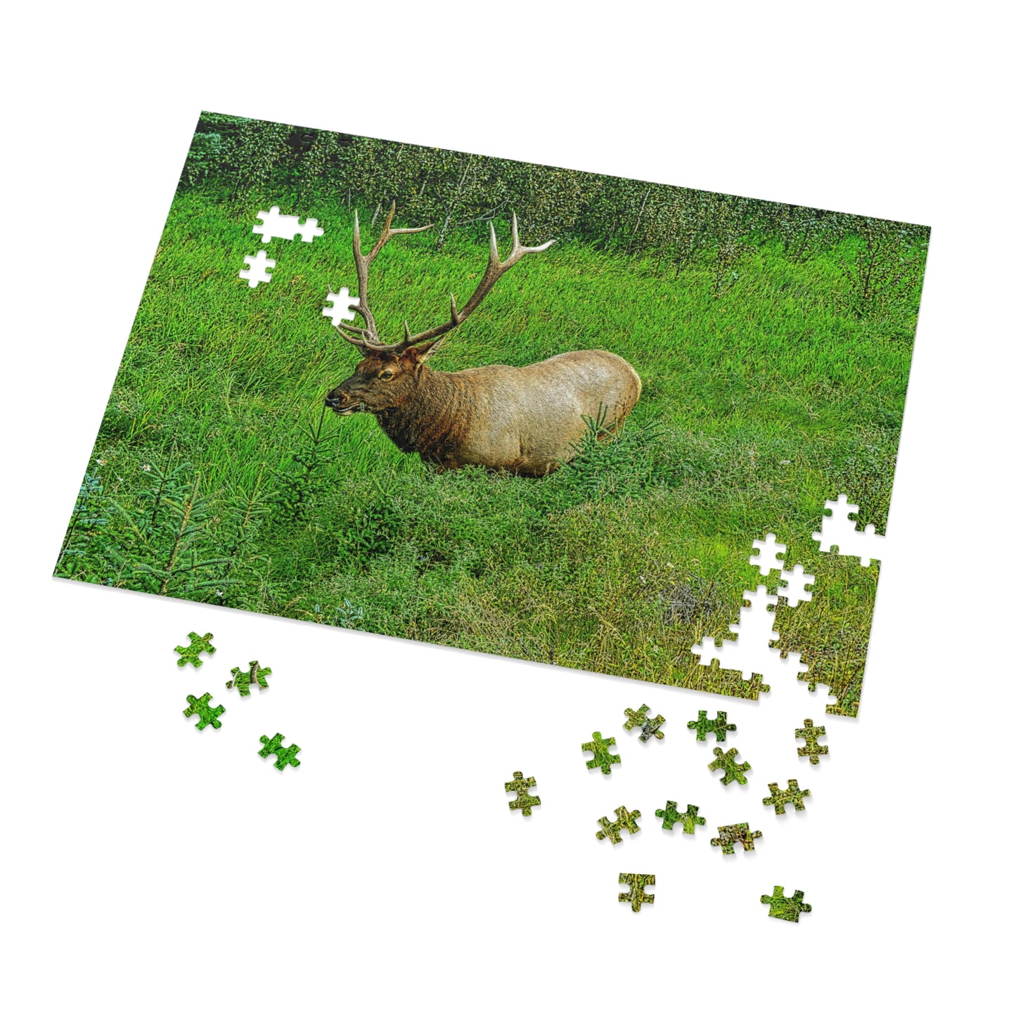 Jigsaw Puzzle (30, 110, 252, 500,1000-Piece) - Jasper National Park Elk