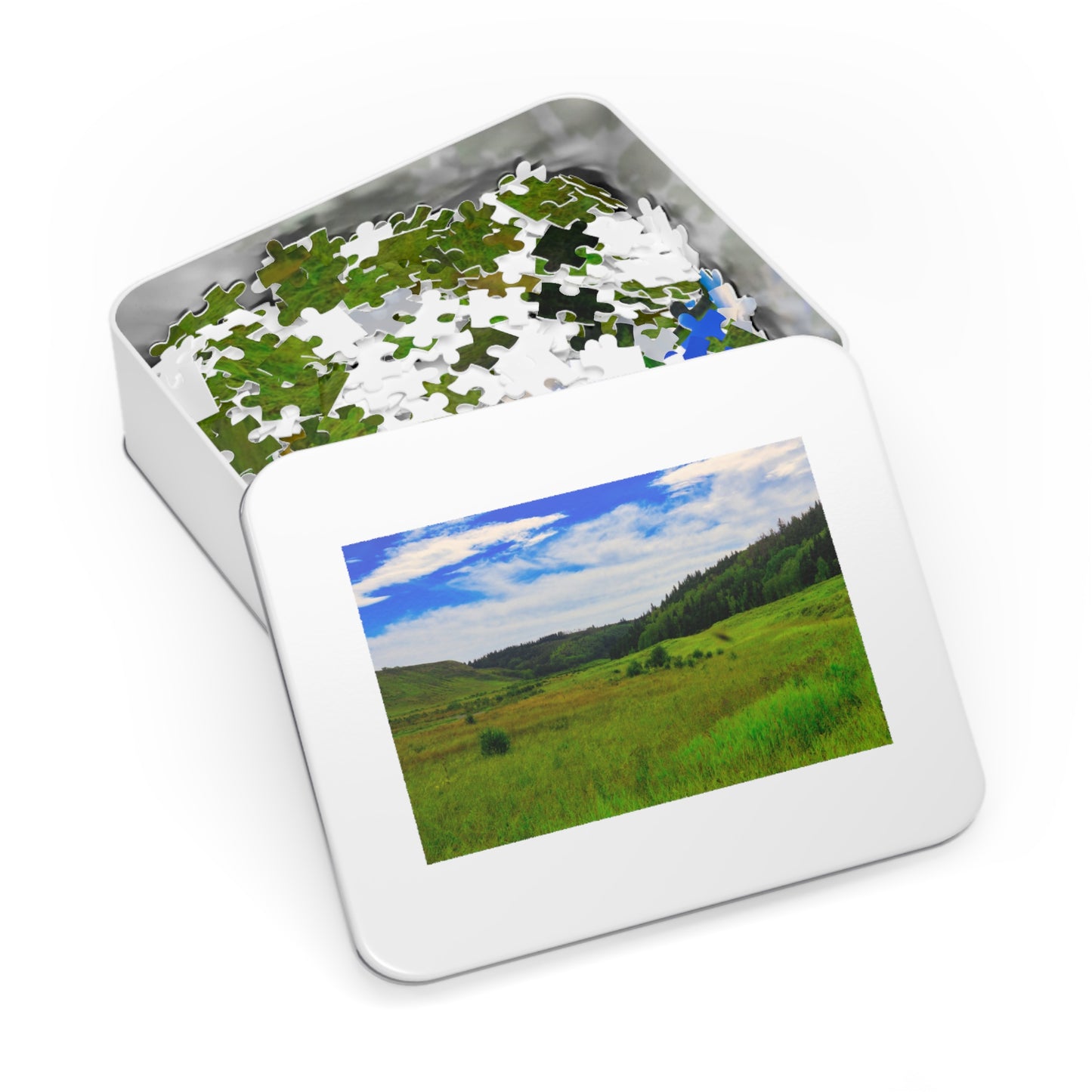 Jigsaw Puzzle - Big Hill Springs Park Entrance