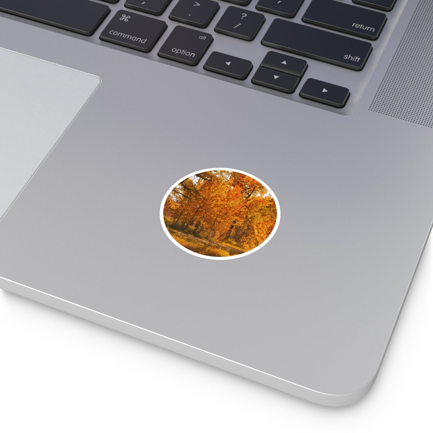 Round Stickers - Sue Higgins Park Fall Colours