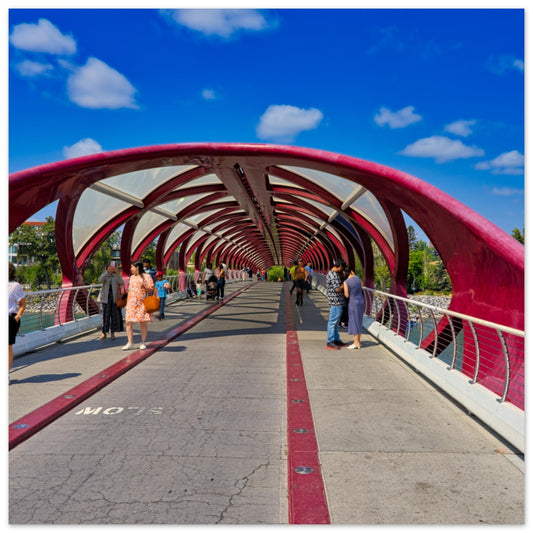 12fe33a0-2ca3-4688-81e3-ac89de40f263