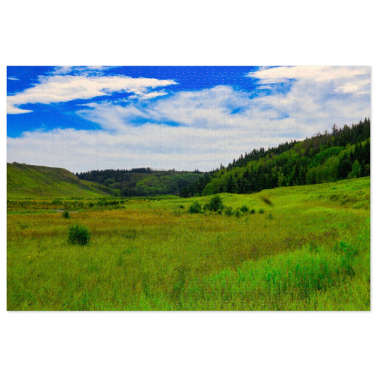 Jigsaw Puzzle - Big Hill Springs Park Entrance