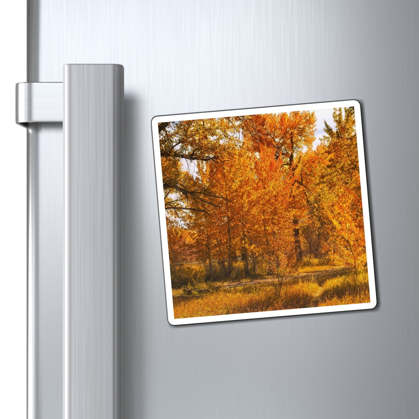 Magnets - Sue Higgins Park Fall Colours