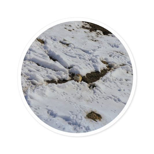 Round Stickers - Max Bell Centre Gopher Winter