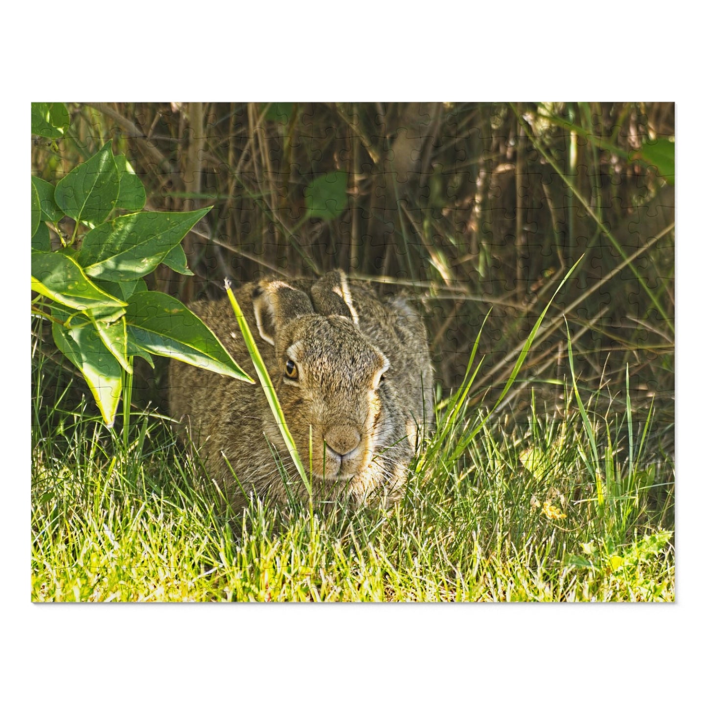Jigsaw Puzzle (30, 110, 252, 500,1000-Piece) - Rabbit