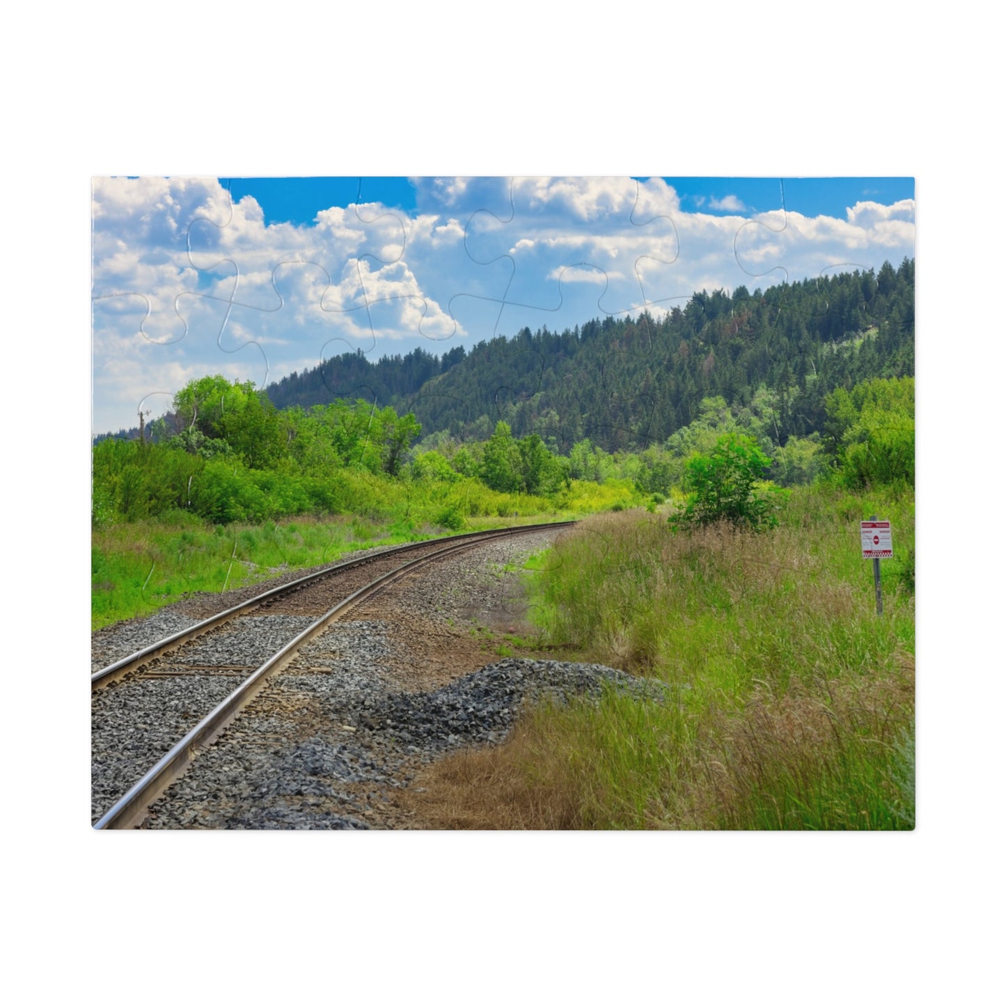 Jigsaw Puzzle - Edworthy Park CPKC Tracks