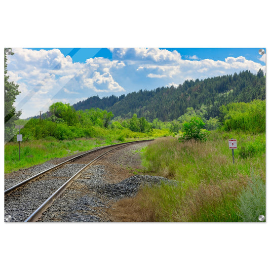 136069a7-0e18-4d24-b286-d14e20fec34a