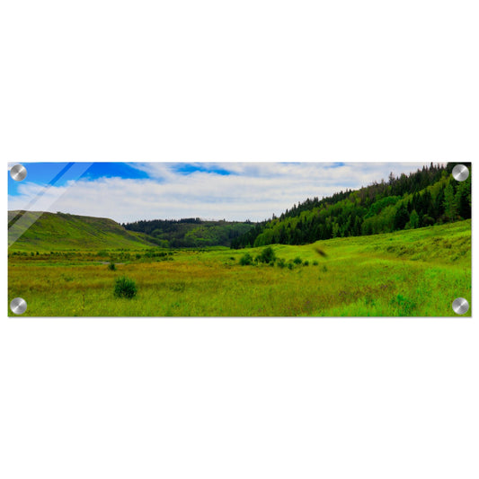 13f61cb5-ed33-48c8-96ff-1e8618474efb