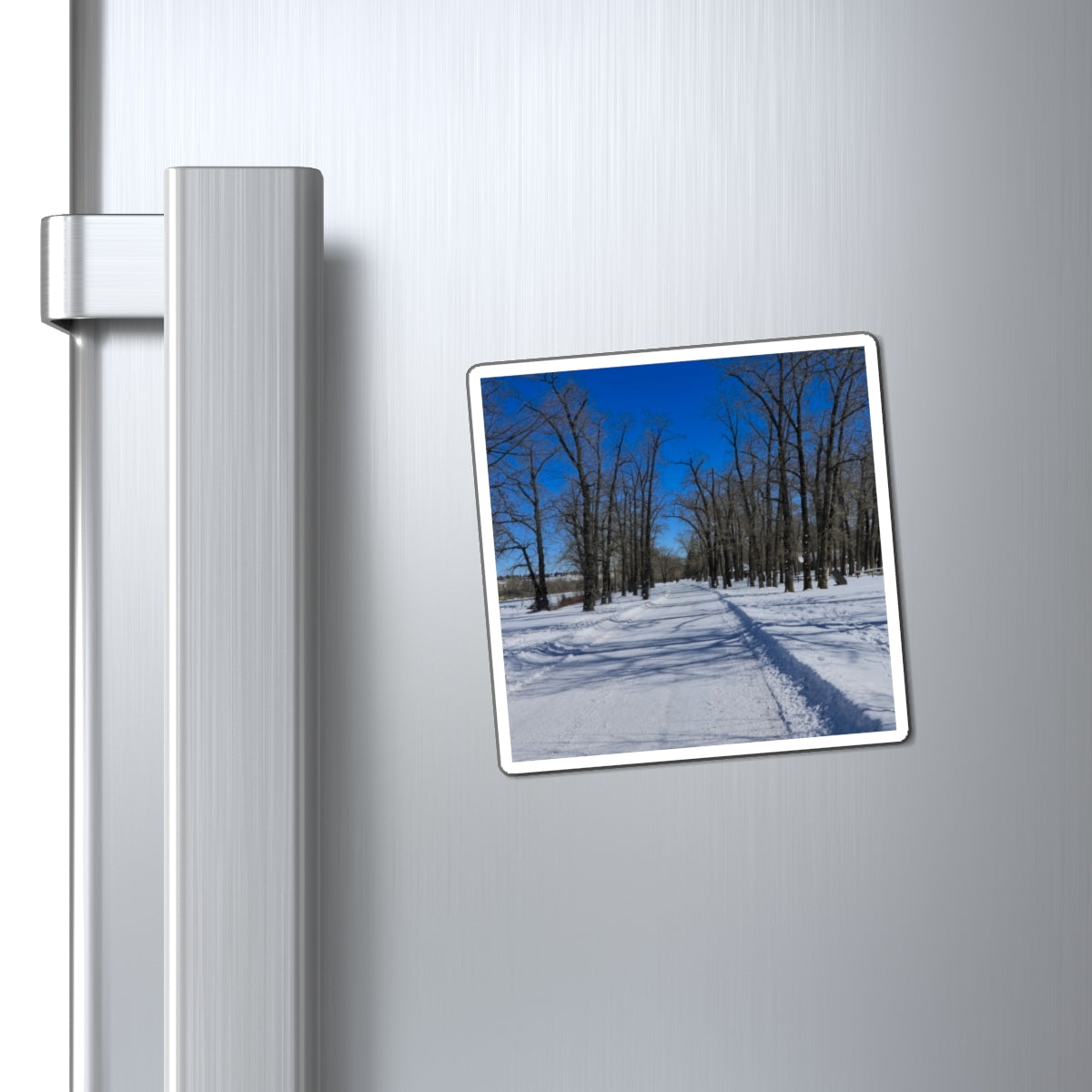 Magnets - Bowness Park Pathway Winter
