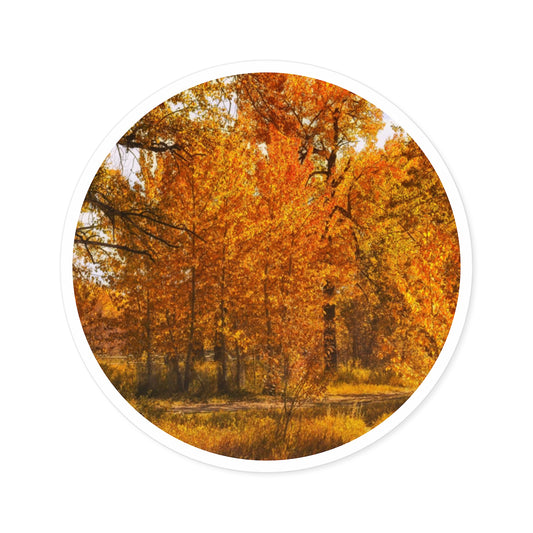 Round Stickers - Sue Higgins Park Fall Colours