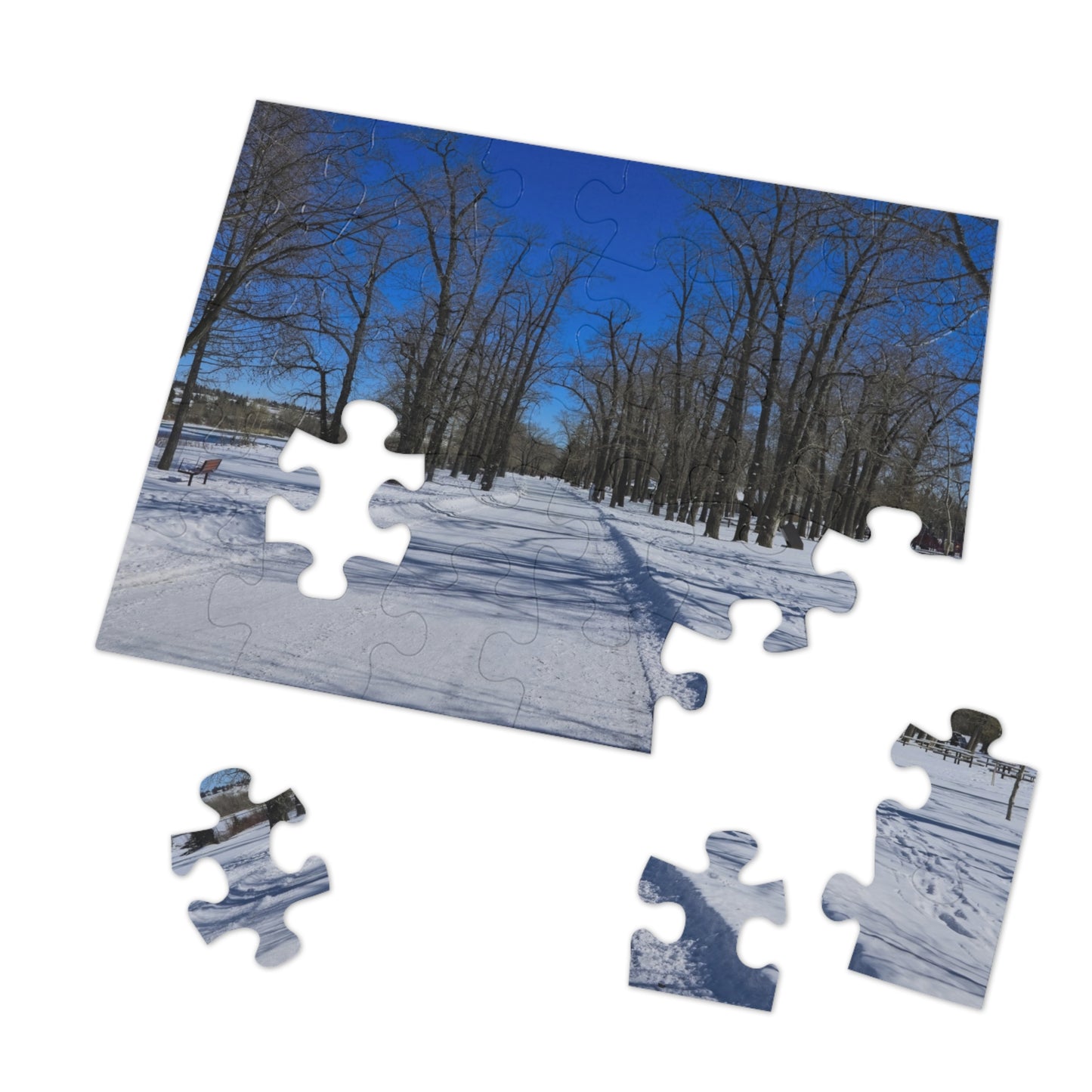 Jigsaw Puzzle (30, 110, 252, 500,1000-Piece) - Bowness Park Pathway Winter