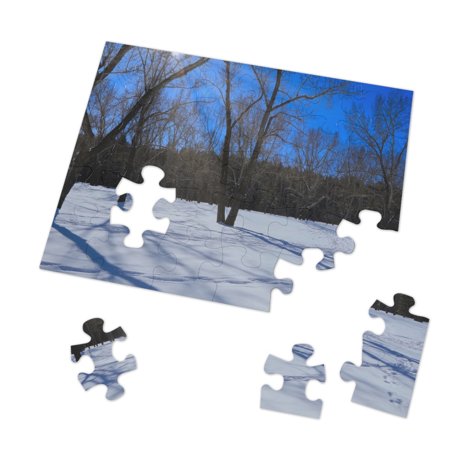 Jigsaw Puzzle (30, 110, 252, 500,1000-Piece) - Bowness Park Field Winter
