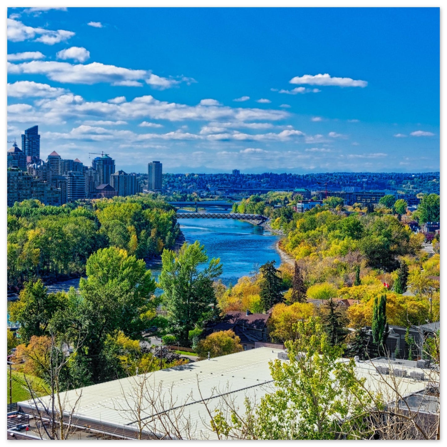 Premium Semi-Glossy Poster Print - Bow River Peace Bridge McHugh Bluff Fall HDR