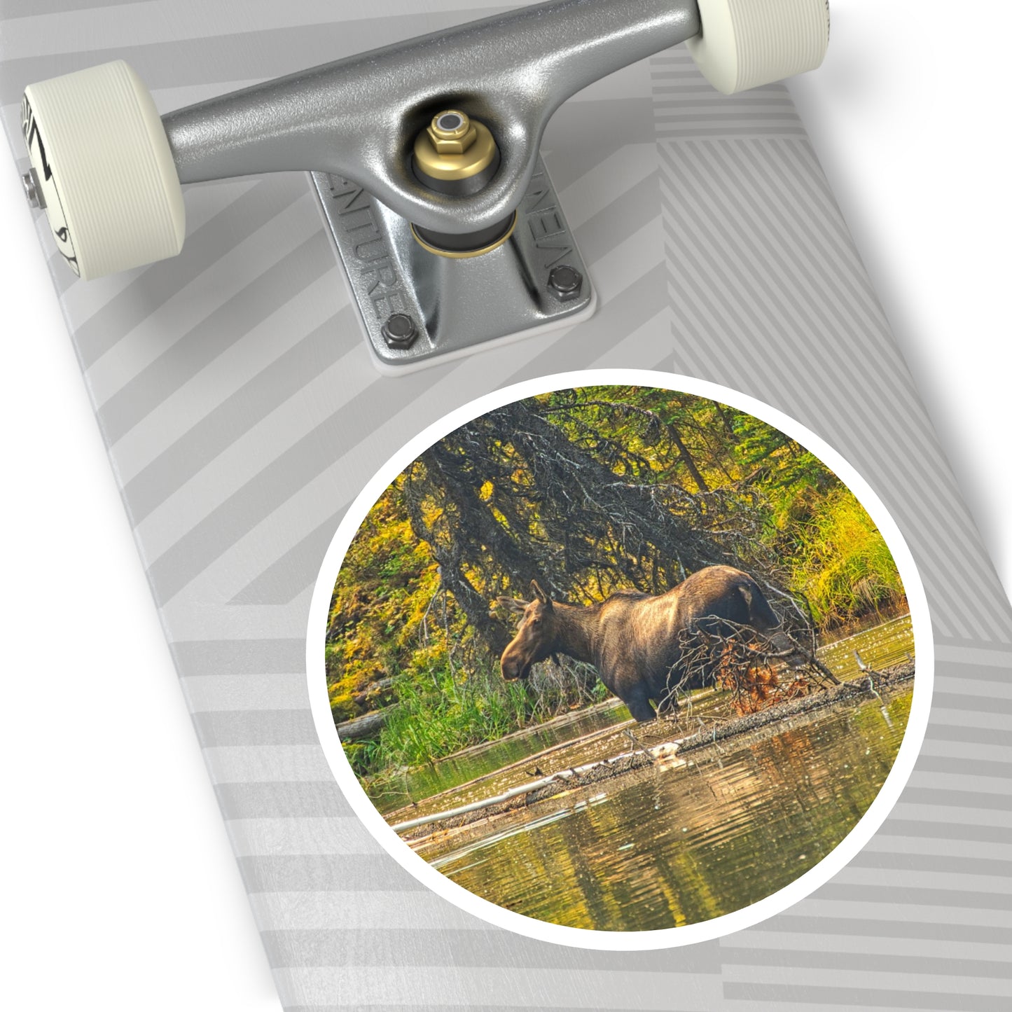 Round Stickers - Jasper National Park Moose Lake Moose