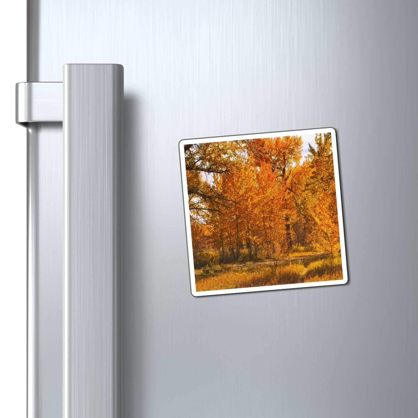Magnets - Sue Higgins Park Fall Colours